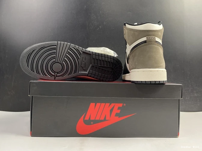 GoAnywhere 3450 Mocha Jordan1 555088- Retro 493 Dark 0608